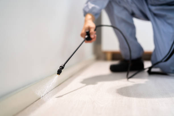 Licensed Termite Control service in Madison County County, MT - Nex Pest Control