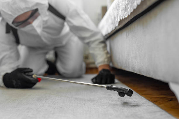 Professional Termite Control technician working in Madison County County, MT